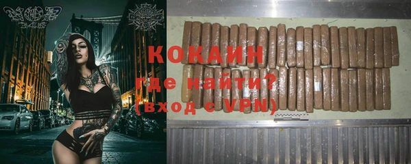 шишки Алзамай