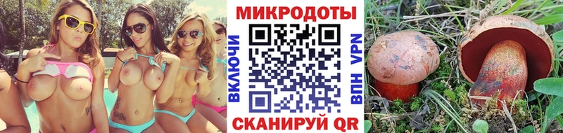 Купить где  Зерноград  Псилоцибиновые грибы Psilocybine cubensis 